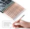 18-Piece Professional Sketch Pencil Set - Includes 5H to 14B Pencils,Graphite, Vinyl Eraser, Kneaded Eraser,Sharpener and Paper Blending Stump - Ideal for Artists and Beginners